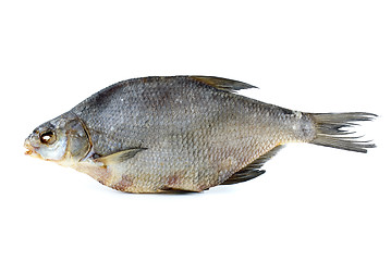 Image showing Dried bream