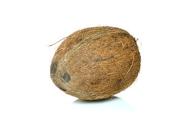 Image showing Single coconut