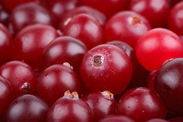 Image showing Some cranberries close-up. 