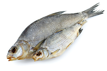Image showing Dried bream and sea roach fishes