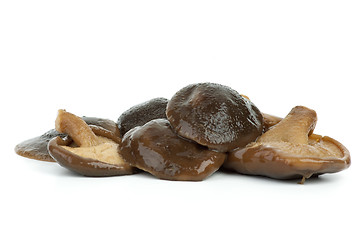 Image showing Few marinated shiitake mushrooms