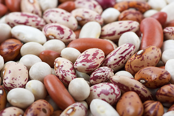 Image showing Haricot beans of different breeds and colours