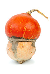 Image showing Turban gourd