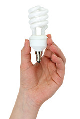 Image showing Hand holding compact spiral-shaped fluorescent lamp