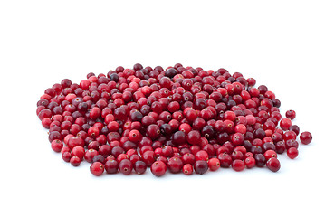 Image showing Pile of ripe cranberries