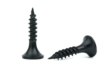 Image showing Two black metal screws