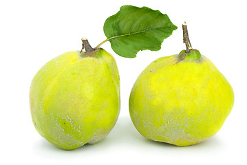 Image showing Two fresh quince fruits