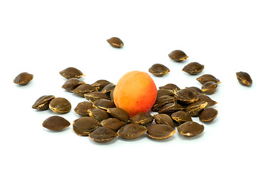 Image showing Single apricot over some kernels