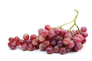 Image showing Bunch of grapes (