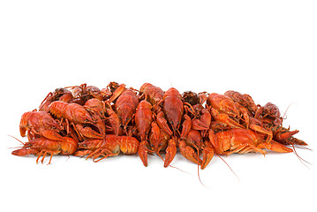 Image showing Pile of boiled crawfishes