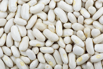 Image showing Long white haricot beans