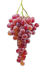 Image showing Bunch of grapes (