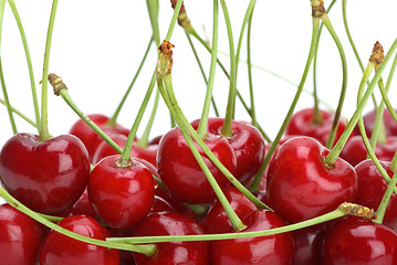 Image showing Red cherries with stalks