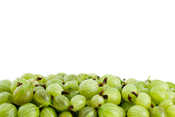 Image showing Pile of green gooseberries