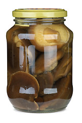 Image showing Shiitake mushrooms conserved in glass jar