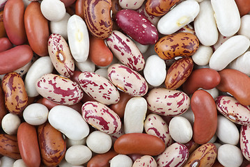 Image showing Haricot beans of different breeds and colours