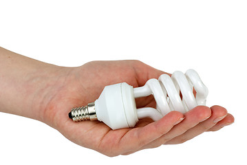 Image showing Hand holding compact spiral-shaped fluorescent lamp in hand