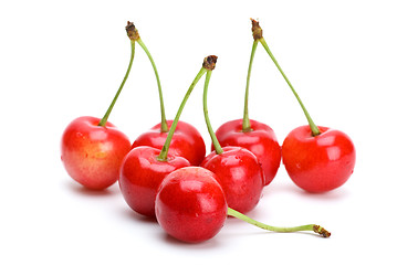 Image showing Some pink cherries with stalks