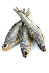 Image showing Three dried sea roach fishes