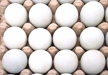 Image showing Dozen eggs