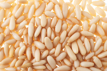 Image showing Pine nuts background