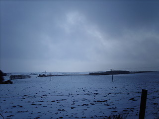 Image showing Winter Field