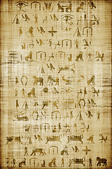 Image showing papyrus