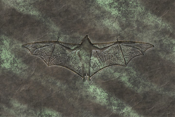 Image showing petrified bat
