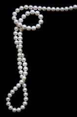 Image showing White pearls on the black velvet 