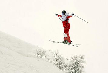 Image showing skier flip in the air