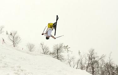 Image showing skier flip in the air