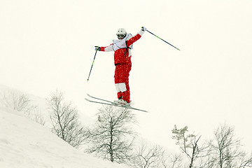 Image showing skier flip in the air