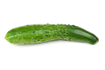 Image showing one fresh green cucumber