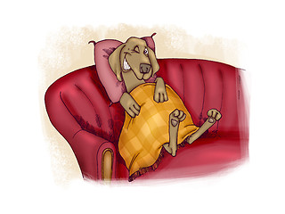 Image showing happy dog on sofa