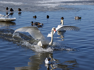 Image showing Landing