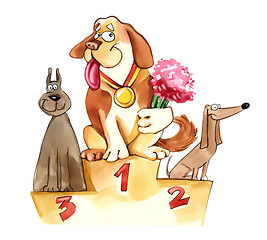 Image showing dogs on exhibition podium