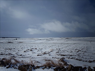 Image showing Frozen Fields