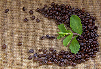 Image showing Heap of burnt brown arabica coffee beans 