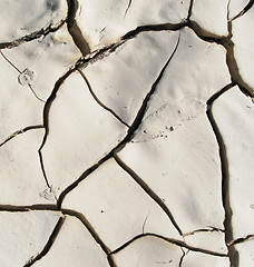 Image showing Grunge cement texture as background