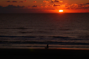 Image showing Dogwalking in the sunset