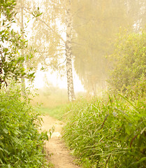 Image showing Smoke and a sunlight