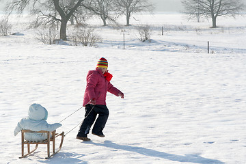 Image showing On the sled