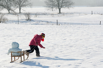 Image showing On the sled