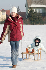 Image showing On the sled