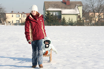 Image showing On the sled