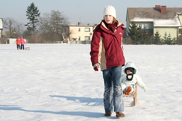 Image showing On the sled