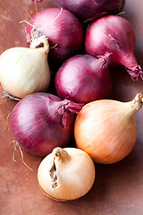 Image showing Red and yellow onions