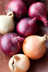 Image showing Red and yellow onions