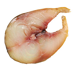 Image showing fish