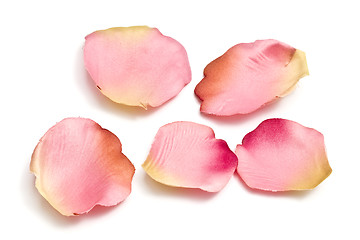 Image showing Scattered flower petals isolated on white 